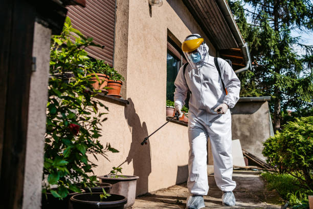Best Mosquito Control Services  in Ranchos De Taos, NM