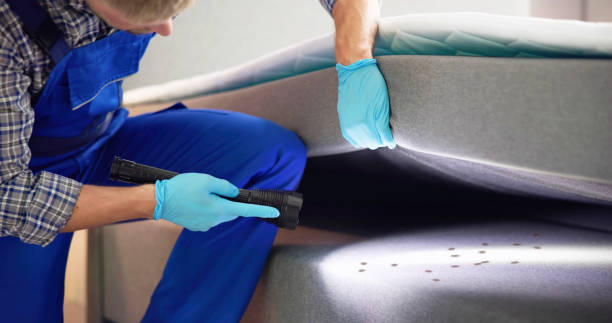 Pest Control Cost in Ranchos De Taos, NM