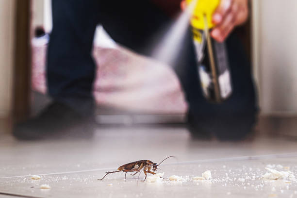 Best Commercial Pest Control Services  in Ranchos De Taos, NM
