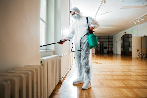 Best Flea Control Services  in Ranchos De Taos, NM