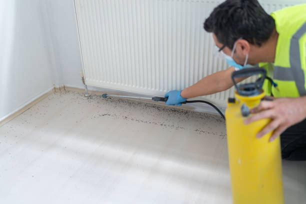 Best Affordable Pest Control Services  in Ranchos De Taos, NM