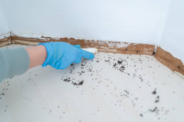 Best Commercial Pest Control Services  in Ranchos De Taos, NM